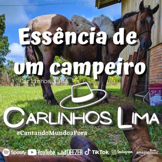Foto da capa: Essência de um Campeiro