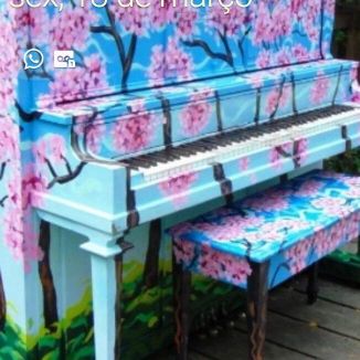 Foto da capa: Primeiro