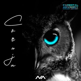 Foto da capa: Coruja