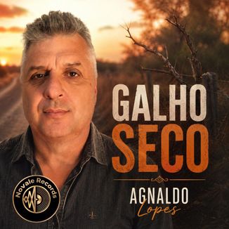 Foto da capa: Galho seco