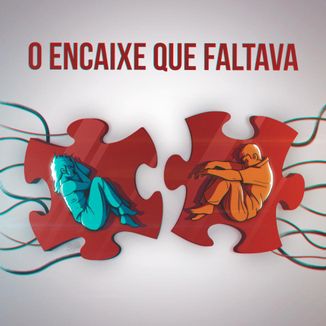Foto da capa: O encaixe que faltava