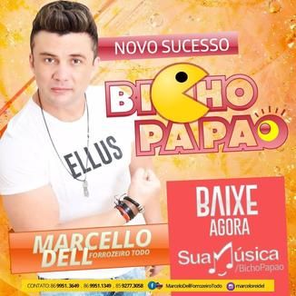 Foto da capa: BICHO PAPÃO