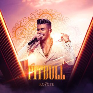 Foto da capa: Pitbull