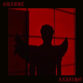 Foto da capa: Anjinho