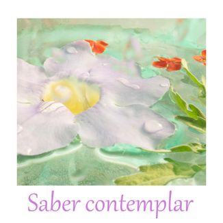 Foto da capa: Saber contemplar
