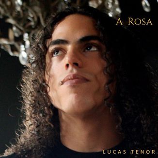 Foto da capa: A Rosa