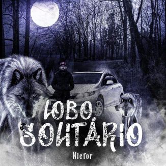 Foto da capa: Lobo Solitário