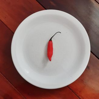 Foto da capa: Vermelho e Quente
