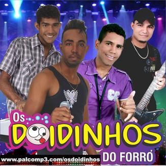 Foto da capa: Os Doidinhos do Forro 2015