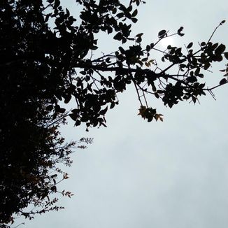 Foto da capa: Amor a primeira vista