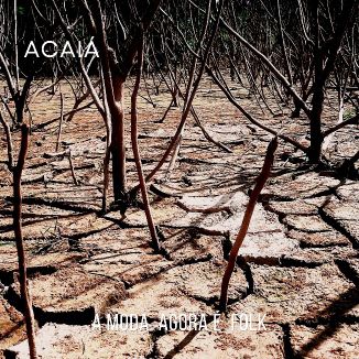 Foto da capa: A MODA Agora É  FOLK