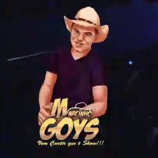 Foto da capa: cd do dvd