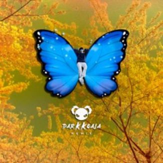 Foto da capa: Golden Hour - JVKE (Dark Koala Remix)