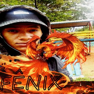 Foto da capa: Fênix