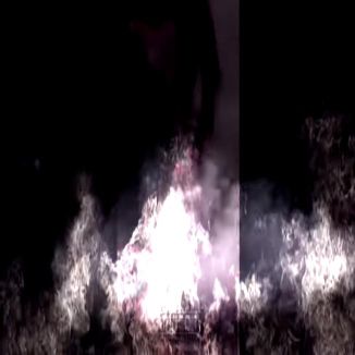 Foto da capa: Neblina