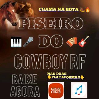 Foto da capa: CD-Paredão Até O Talo
