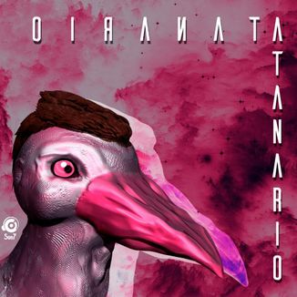 Foto da capa: Atanário