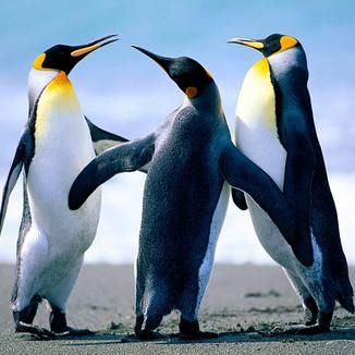 Foto da capa: Acústico