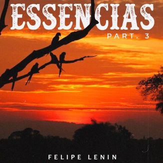Foto da capa: Essências Pt 03
