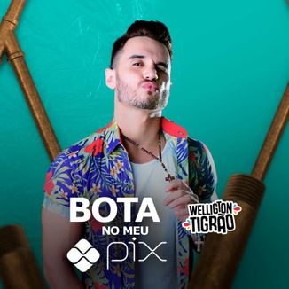 Foto da capa: Bota no meu Pix