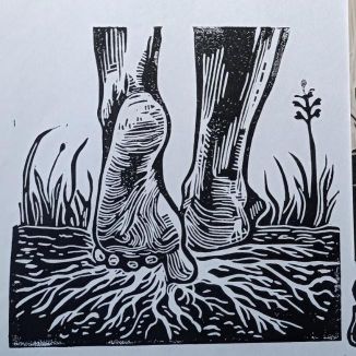 Foto da capa: Estações do Norte