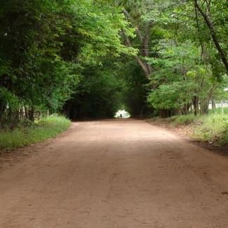 Foto da capa: Experimento