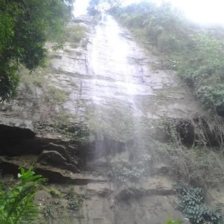 Foto da capa: Variadas