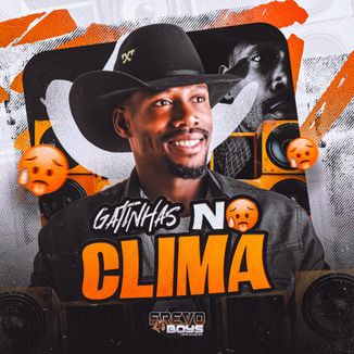 Foto da capa: GATINHAS NO CLIMA