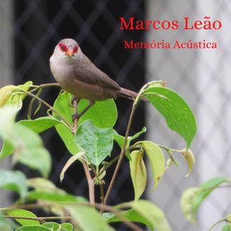 Foto da capa: Memória Acústica