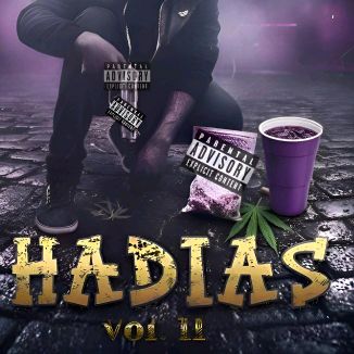 Foto da capa: HADIAS Vol. II