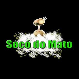Foto da capa: Socó do Mato Eu Sou