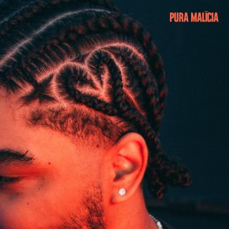 Foto da capa: Pura Malícia