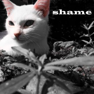 Foto da capa: Shame