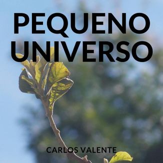Foto da capa: Pequeno Universo