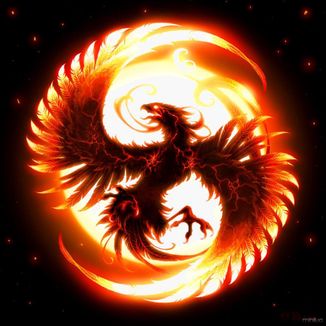 Foto da capa: Banda Sola Quente "A Volta Da Fenix"