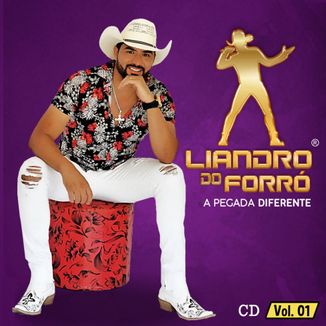 Foto da capa: Liandro do Forró - a Pegada Diferente