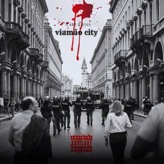 Foto da capa: Viamão City