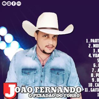 Foto da capa: CD BAILÃO DO PESADÃO DO FORRÓ 2020