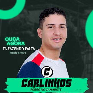 Foto da capa: TÁ FAZENDO FALTA