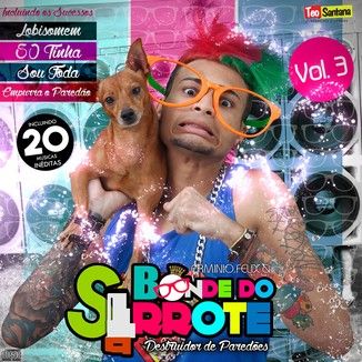 Foto da capa: ERMINIO FÉLIX & BONDE DO SERROTE - O DESTRUIDOR DE PAREDÕES - VOLUME 3