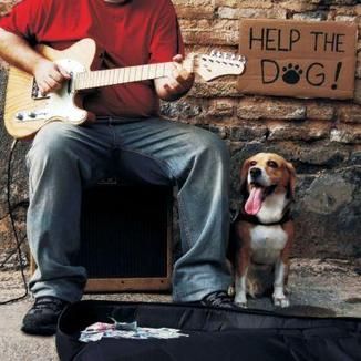 Foto da capa: Help the Dog!