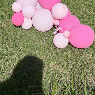 Foto da capa: Não, Não Me Interessa Instrumental HD