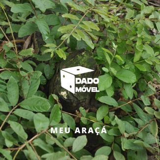 Foto da capa: Meu Araçá