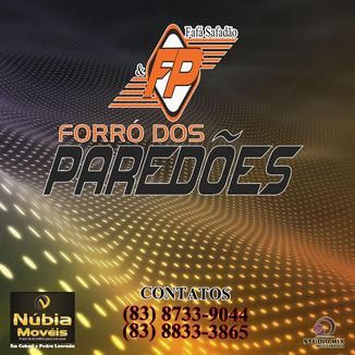 Foto da capa: forro dos paredpes