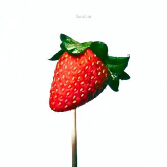 Foto da capa: SaraUm