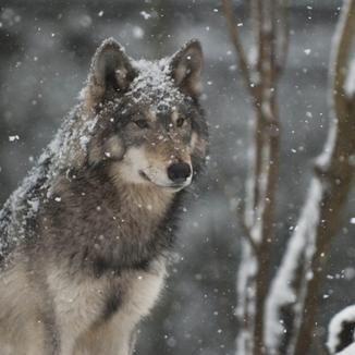 Foto da capa: No Frio