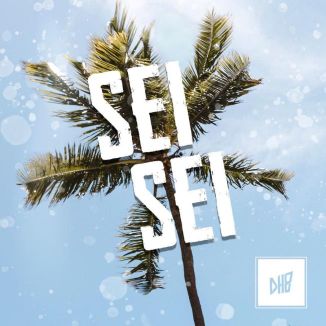 Foto da capa: Sei Sei - Tô Ligado