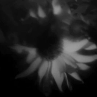 Foto da capa: Boletim de Ocorrência | Murder song  (Prod. Töro Records)