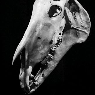 Foto da capa: Country Road's(instrumental)