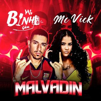 Foto da capa: Malvadin